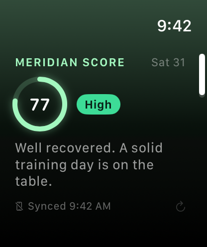 Meridian on Apple Watch: overall score